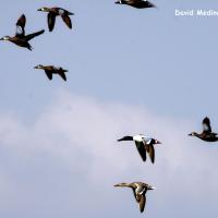 Img 7142
